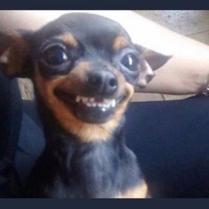 Meet your Posher, Howard